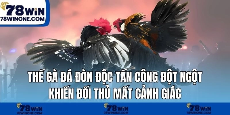 Thế gà đá đòn độc tấn công đột ngột khiến đối thủ mất cảnh giác