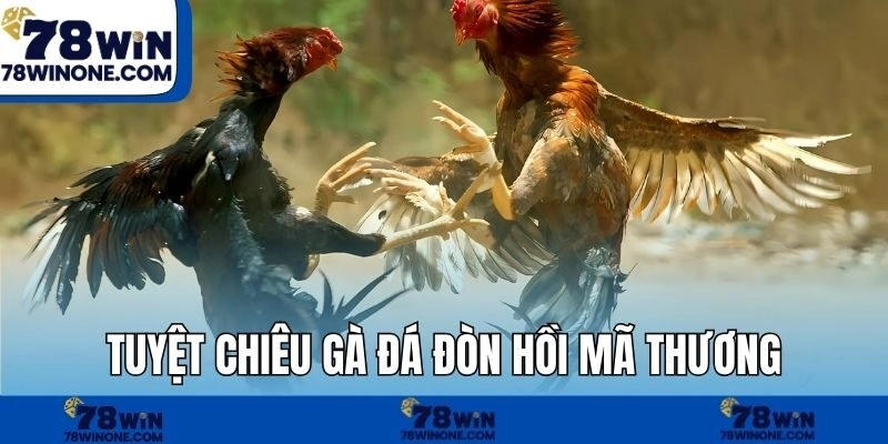 Tuyệt chiêu gà đá đòn hồi mã thương